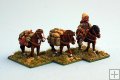 Mongol Pack Horses