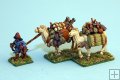 Mongol Pack Camels